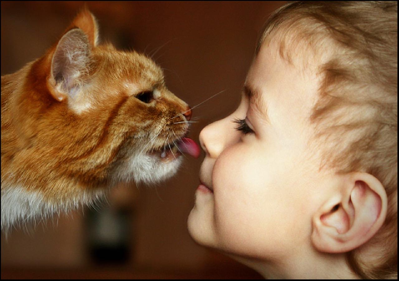 Любовь к животным. Кошка для детей. Котёнок-ребёнок. Коты и дети. Любовь животных к людям.